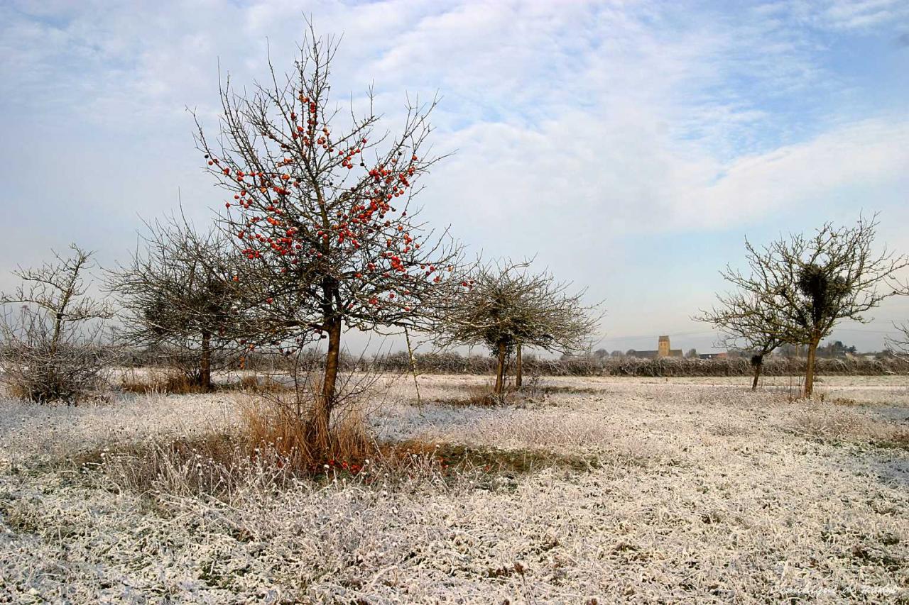 Hiver route côtiere