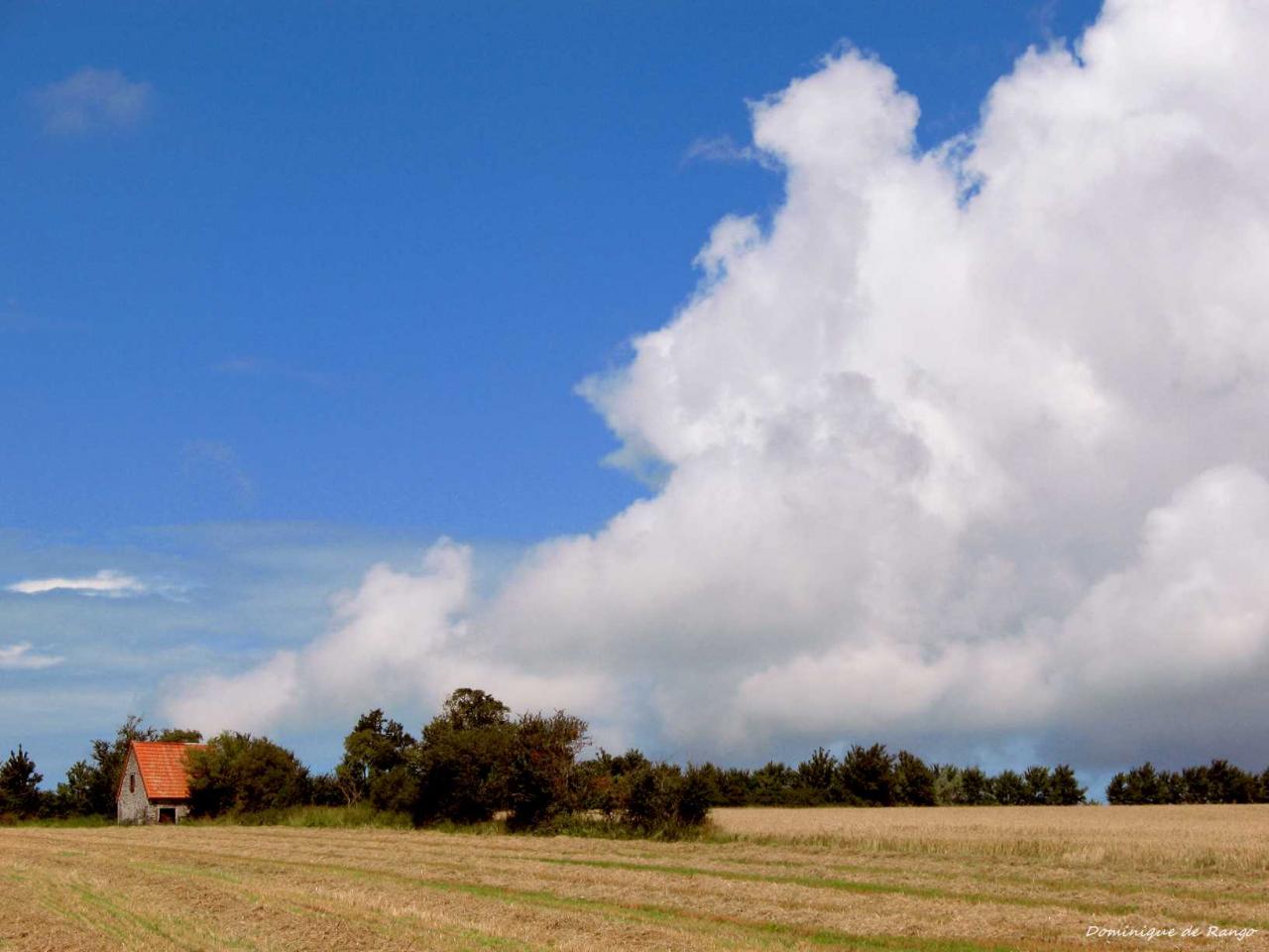 Sur la route côtière