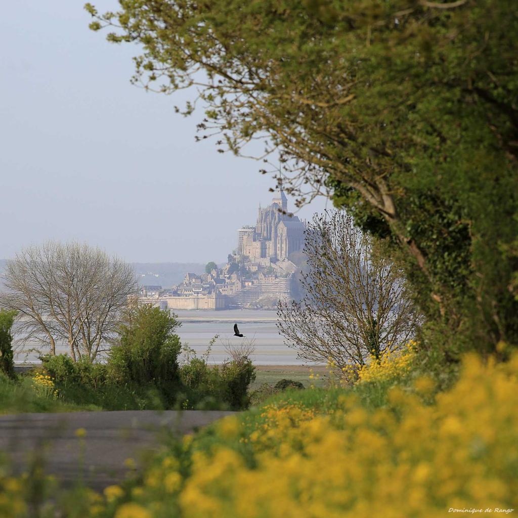 route Bacilly vers le Grand Port 