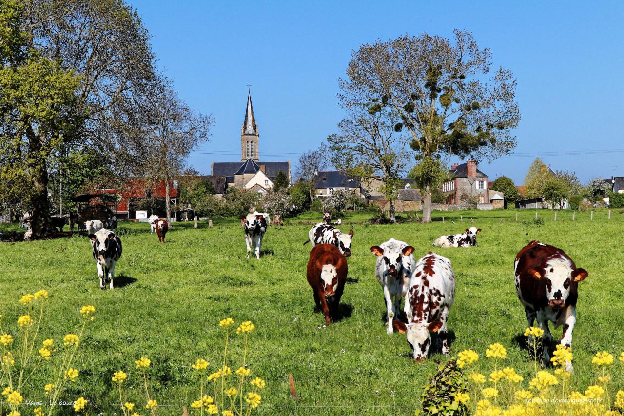 printemps au bourg de Vains